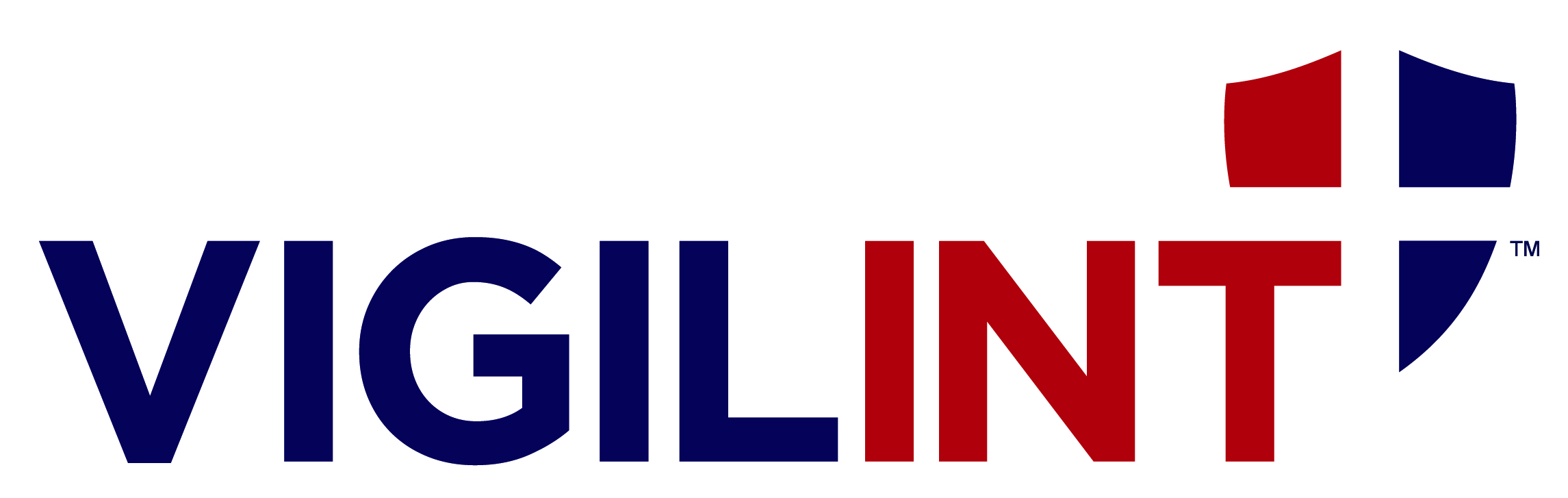 Vigilint Expeditionary Solutions, Inc